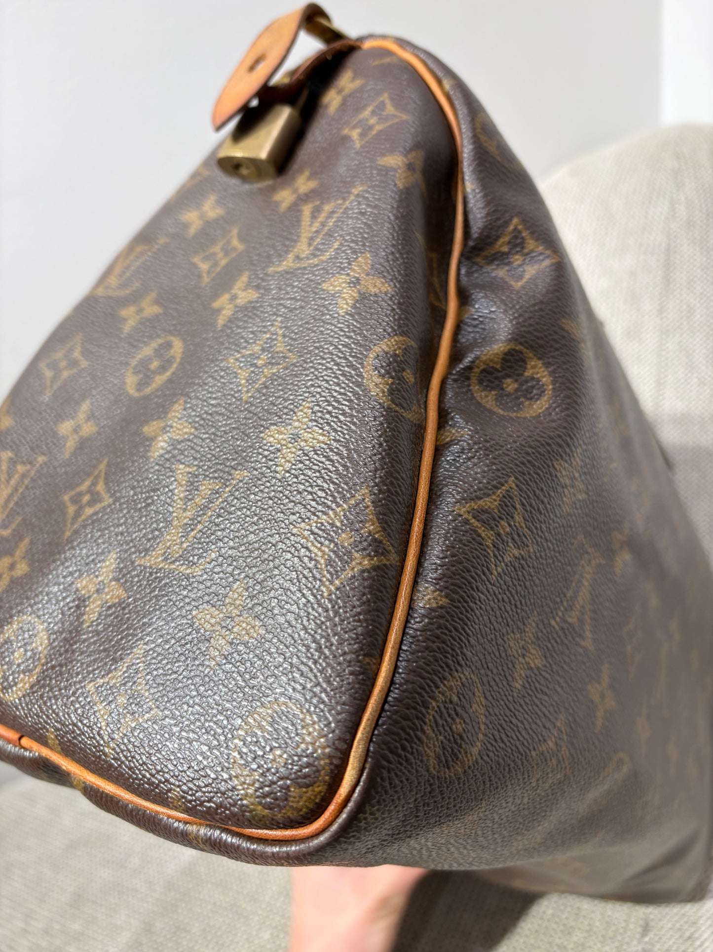 Sac Louis Vuitton