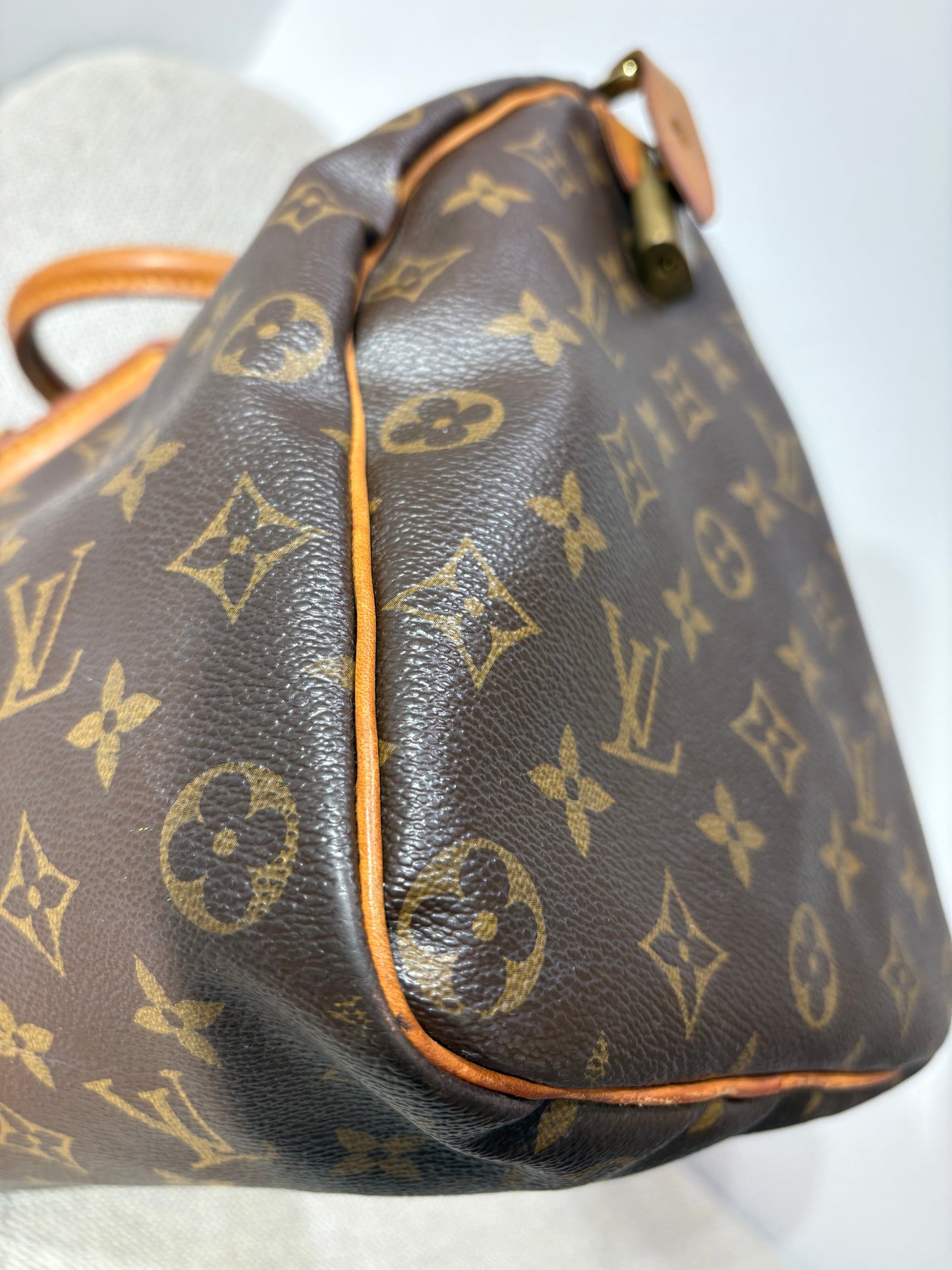 Sac Louis Vuitton