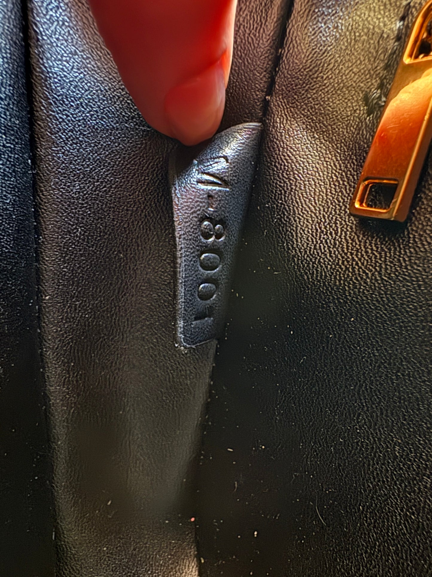 Sac Céline triomphe