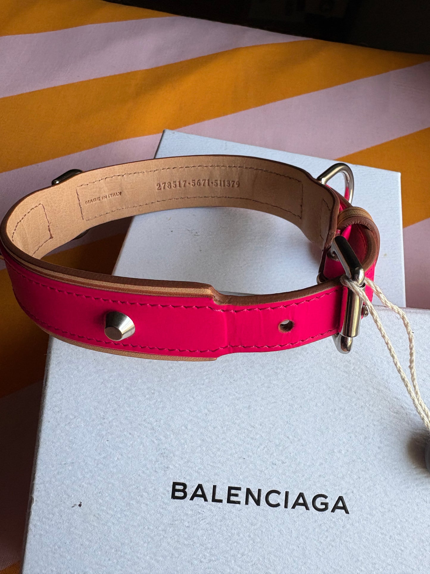 Collier Balenciaga dog