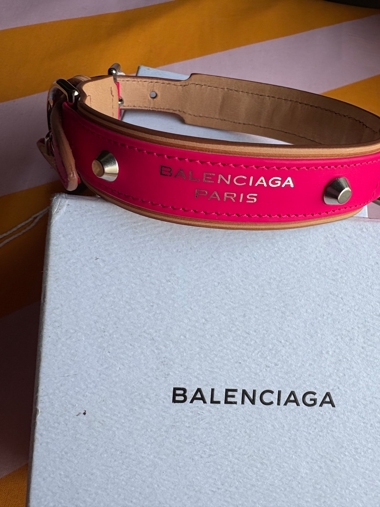 Collier Balenciaga dog