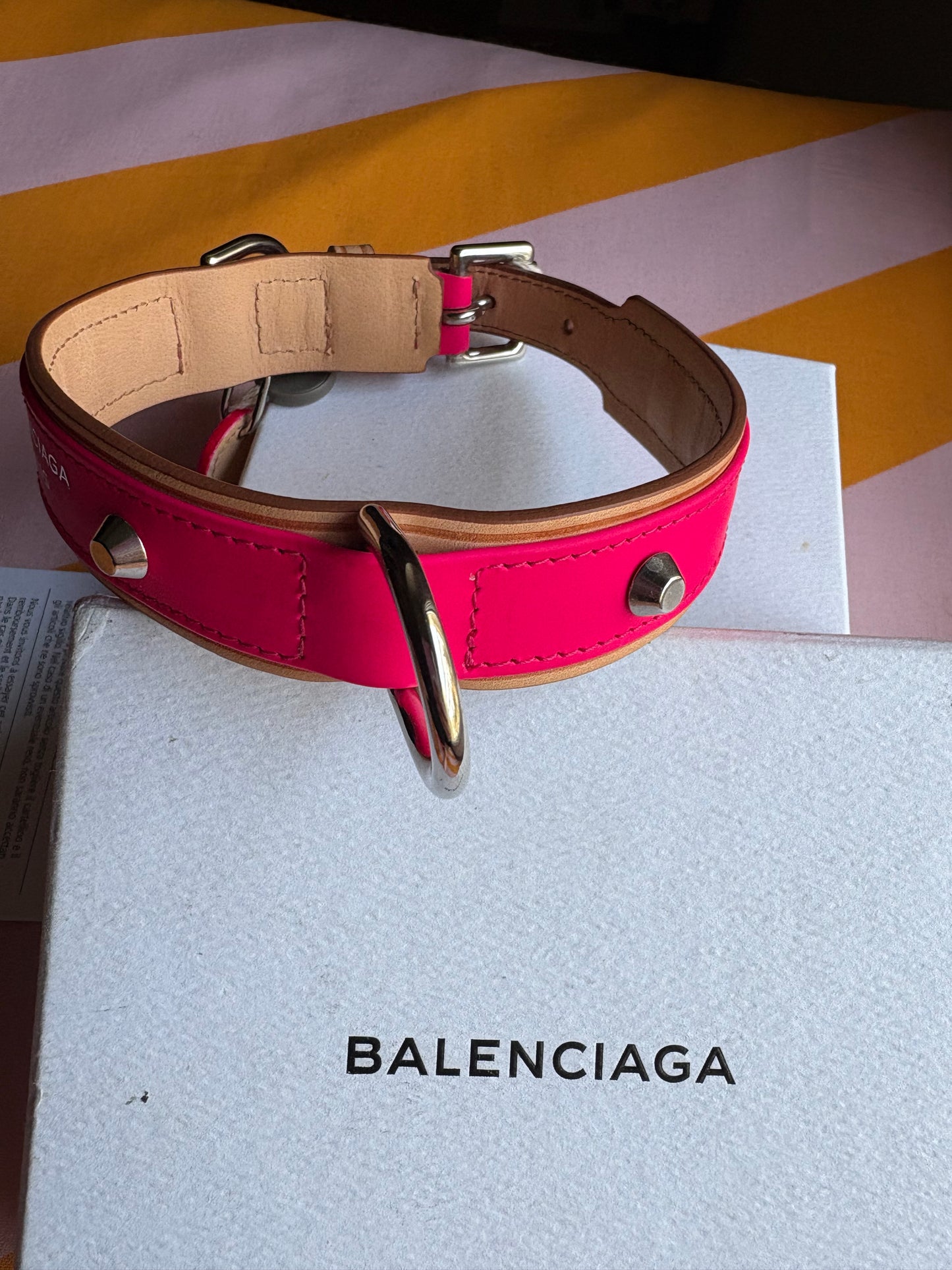 Collier Balenciaga dog