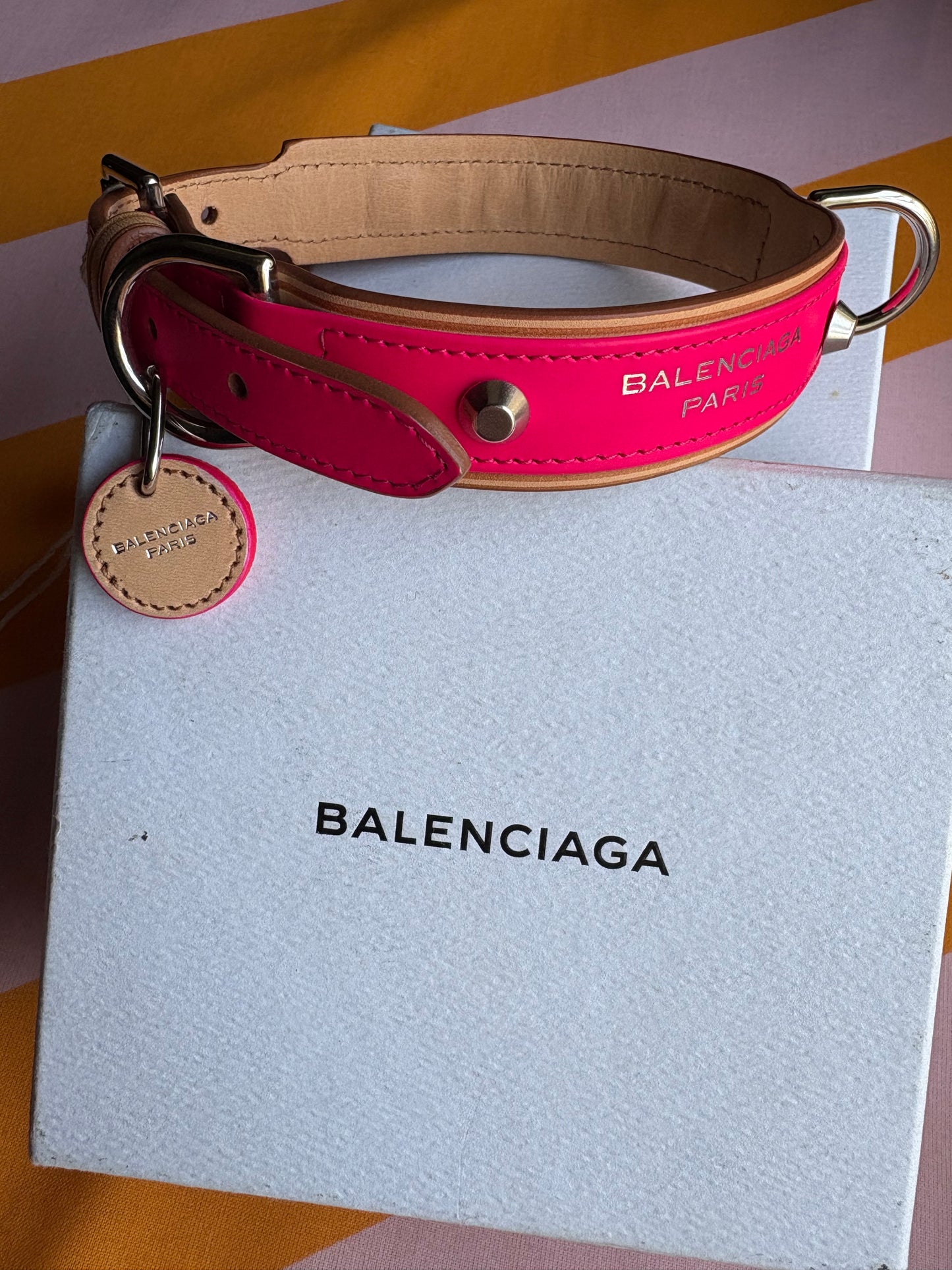 Collier Balenciaga dog