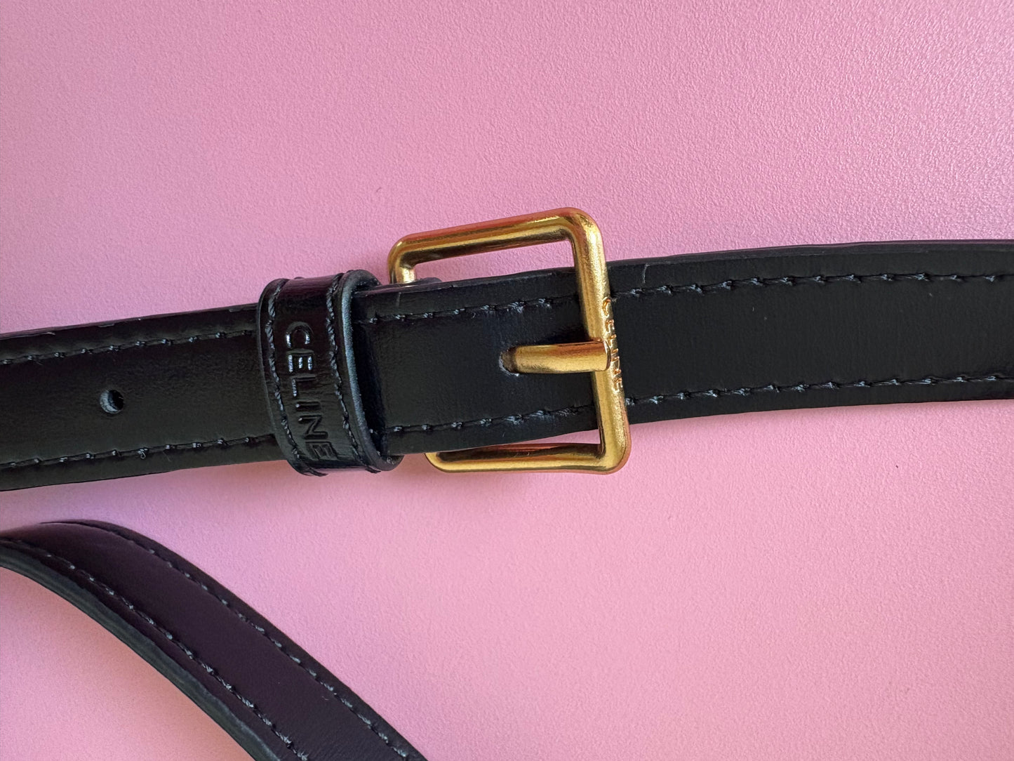 Sac Céline triomphe