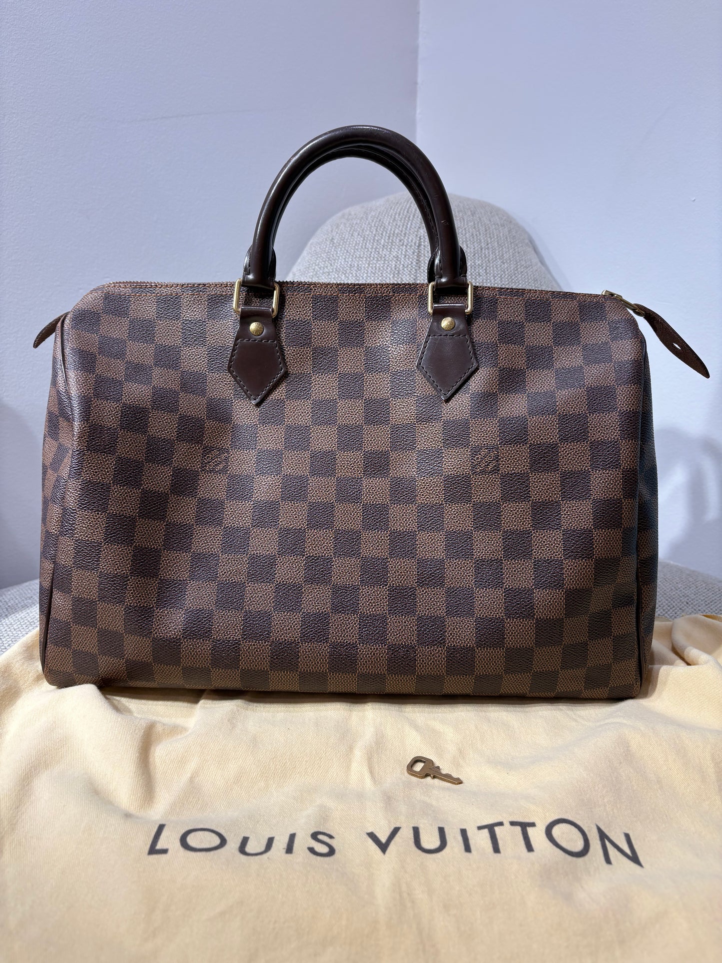 Sac Louis Vuitton