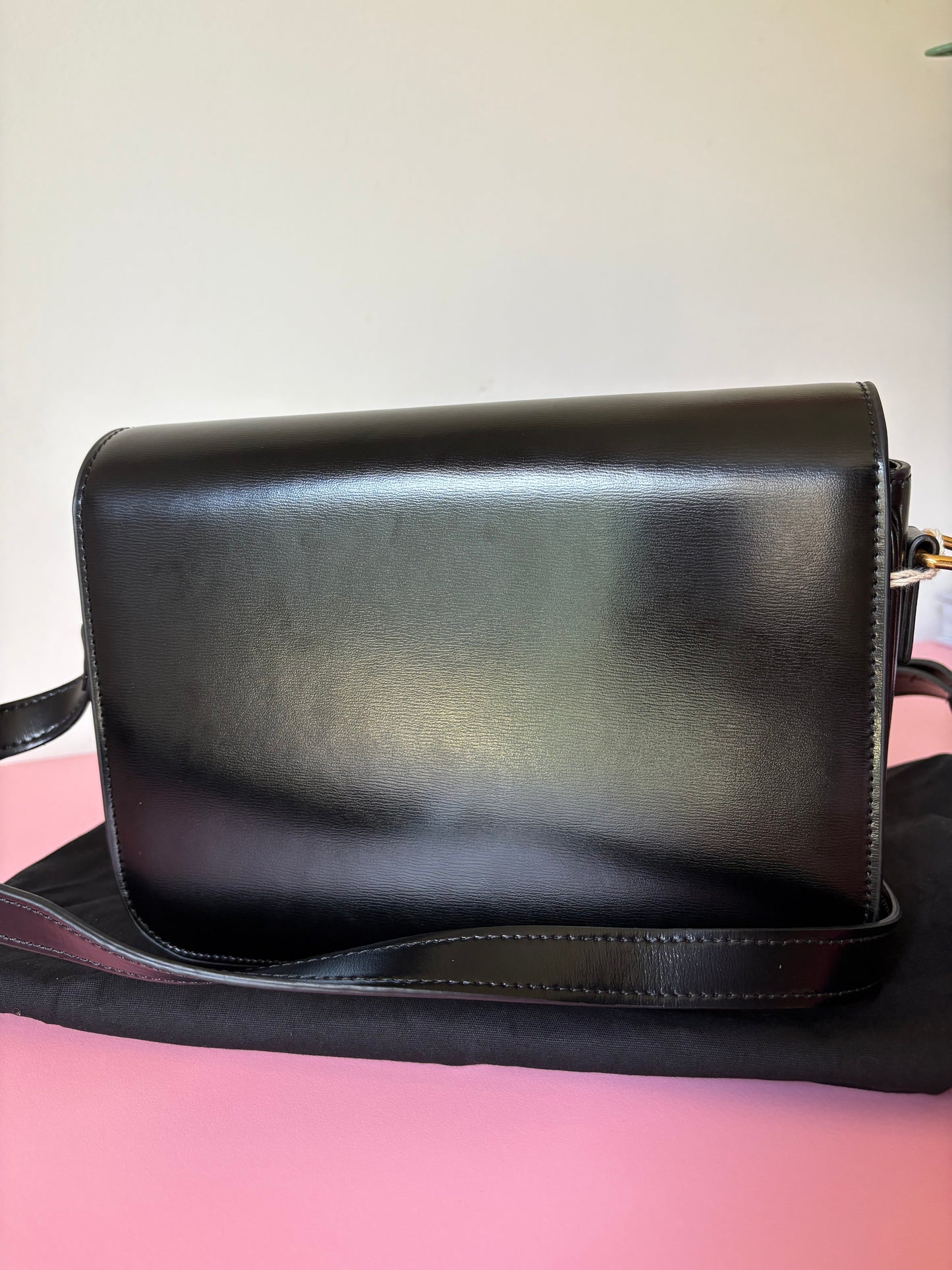 Sac Céline triomphe